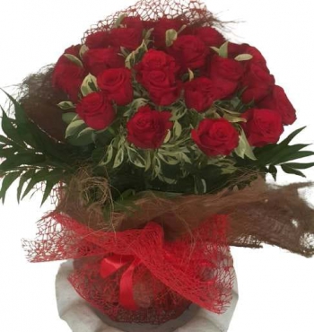 Red Roses Charlotte Lebanon